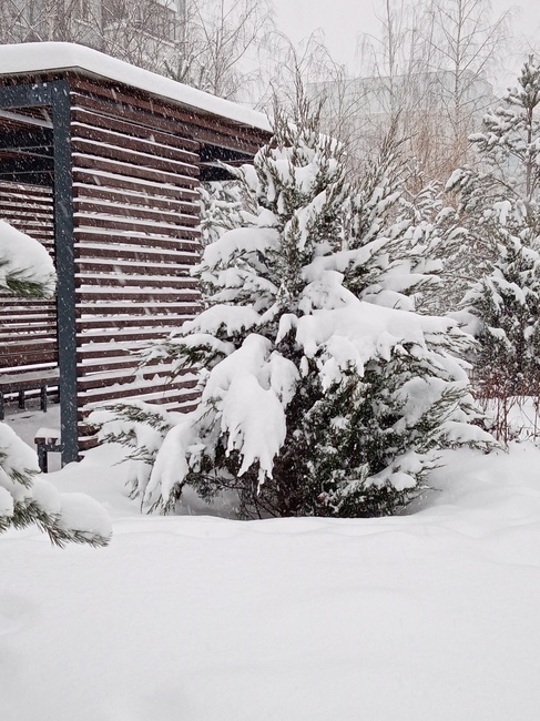 Как только в России не называют мороз! От куда все эти названия?