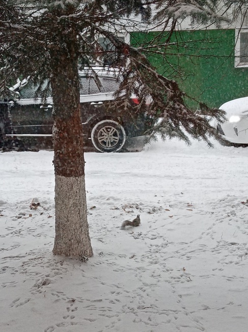 Как только в России не называют мороз! От куда все эти названия?