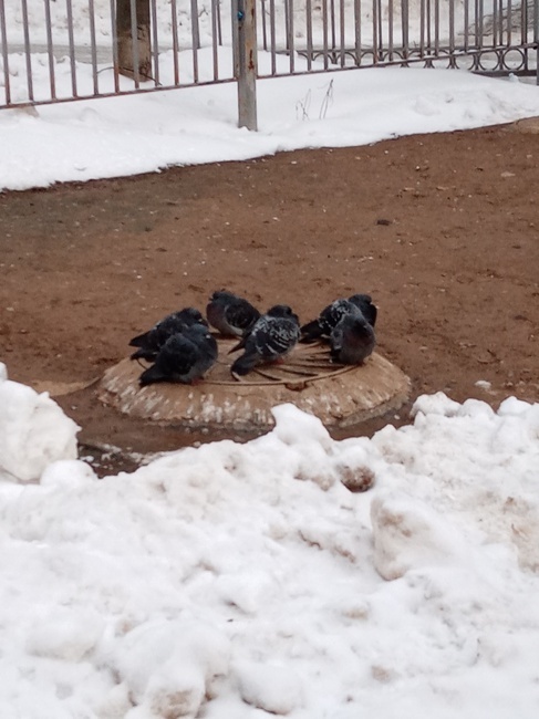 Как только в России не называют мороз! От куда все эти названия?