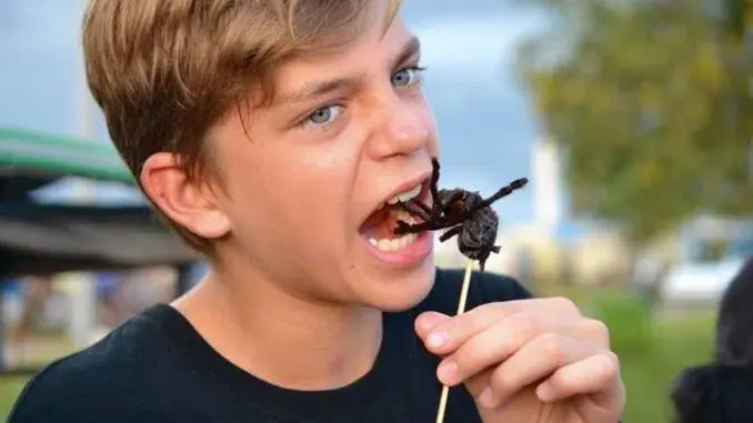 Производителей продуктов питания уличили в тайном и обманном добавлении насекомых в детское питание