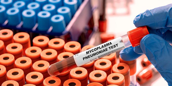 Эпидемия пневмонии, вызванной микоплазмой. Жаропонижающие не действуют. Неужели это новый виток коронавируса?