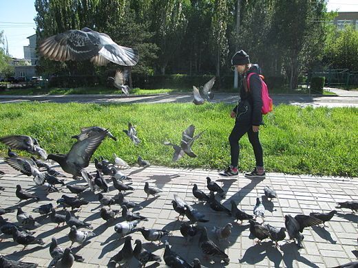 Рассказ "Город Омск"