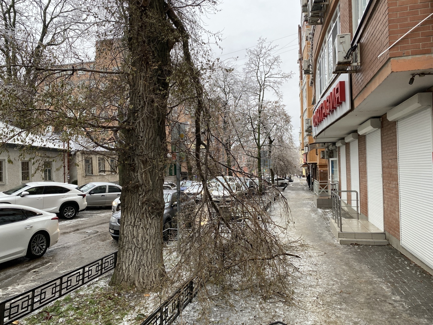 Ледяной апокалипсис в Ростове и его последствия