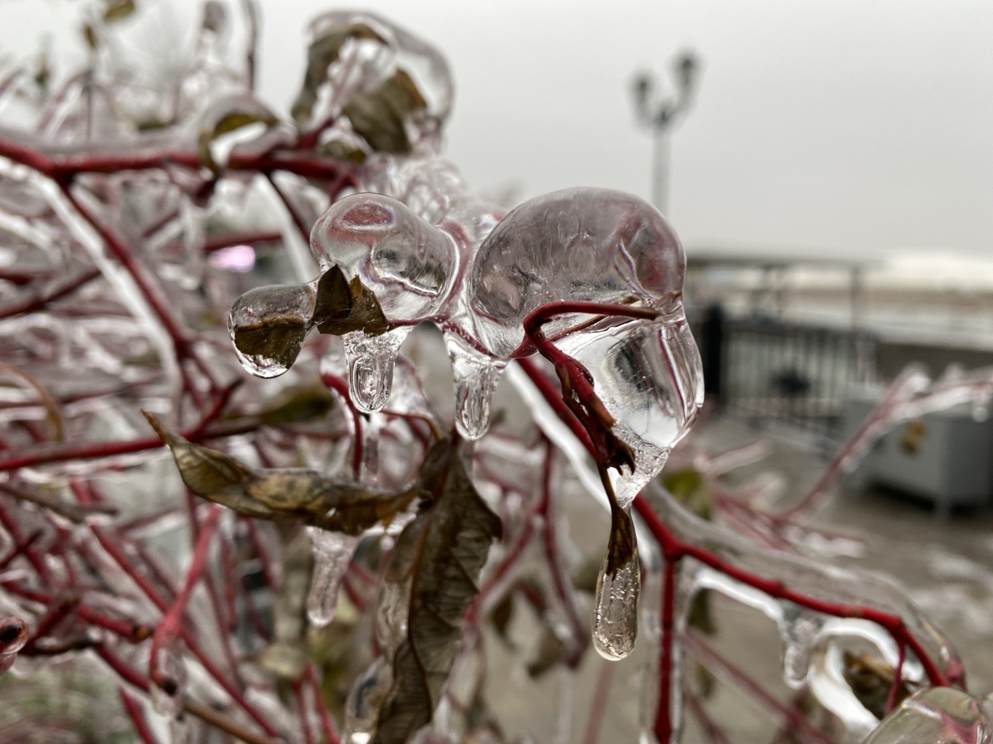 Ледяной апокалипсис в Ростове и его последствия