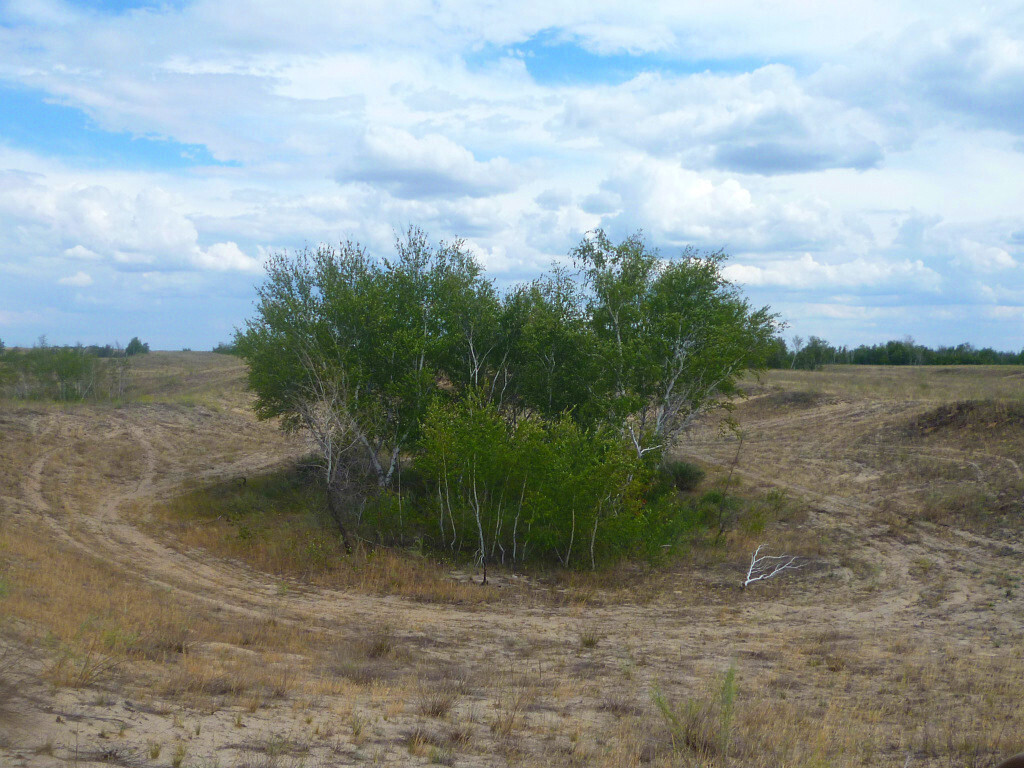 Люблю фотографировать родную природу! Особенно, когда выезжаем на Дон