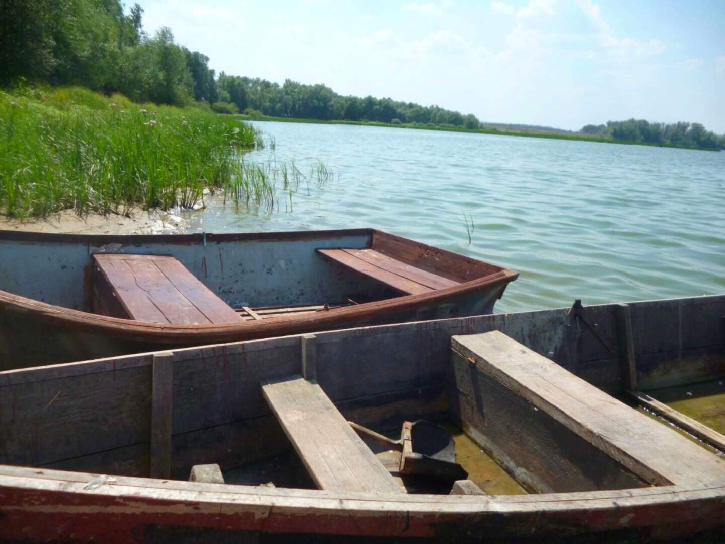 Люблю фотографировать родную природу! Особенно, когда выезжаем на Дон