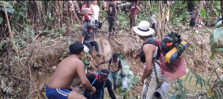 Прямой эфир из джунглей: мигранты становятся узнаваемыми лицами в социальных сетях