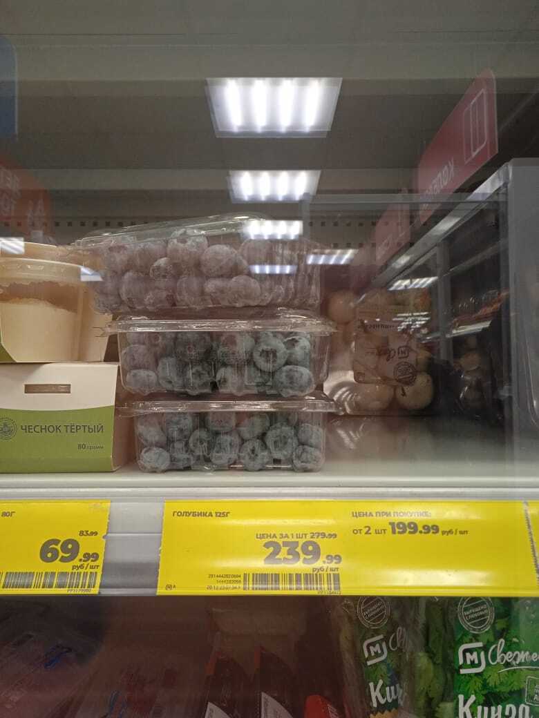 Садовая голубика: мой опыт выращивания "пьяной ягоды", первый урожай и первые впечатления от болотной ягоды.