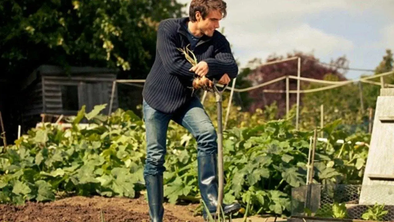 Город и село - родные братья!