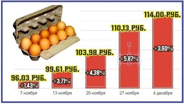 Тайна роста: почему цены на куриные яйца в России взлетели до рекордных высот?
