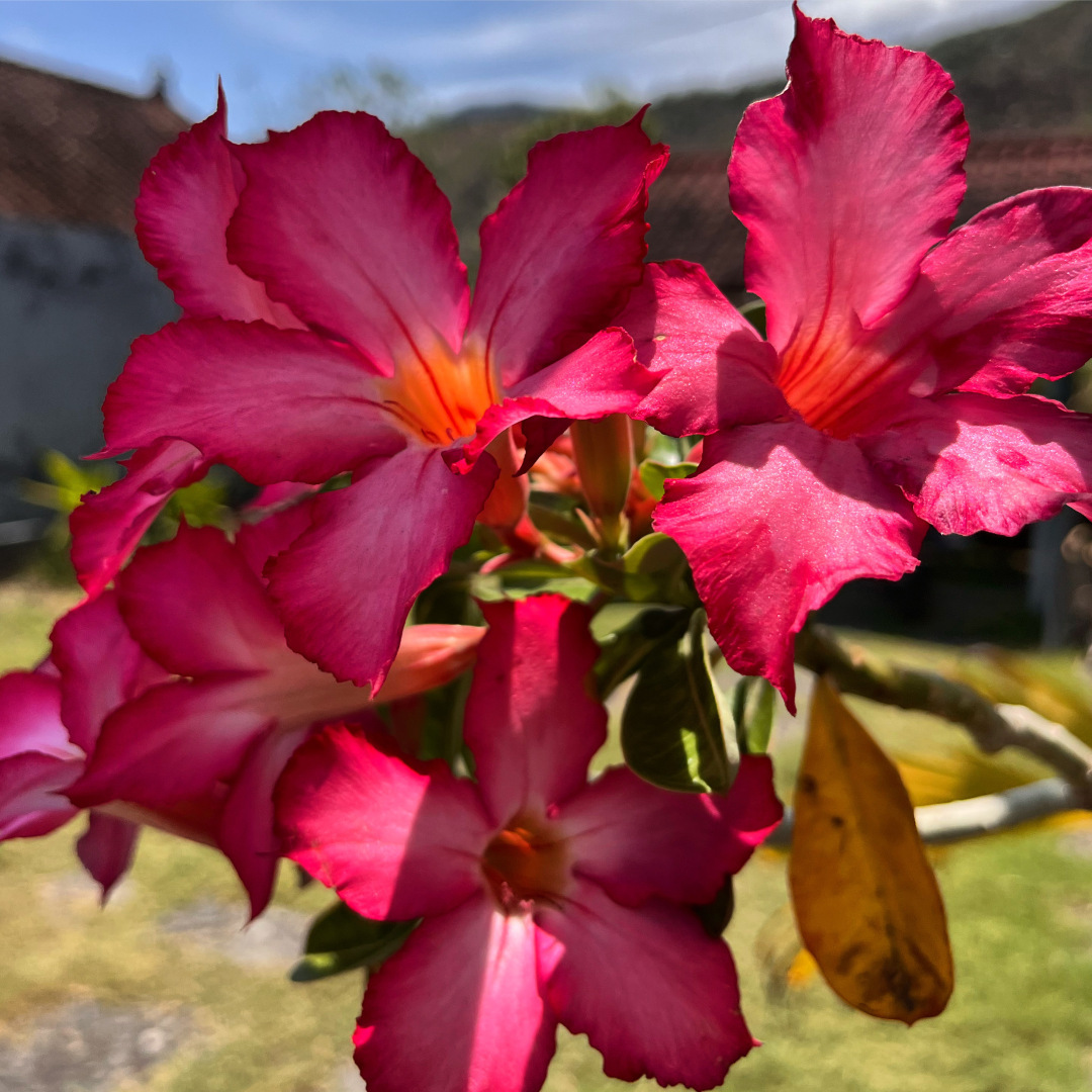 Экзотический релакс: мой первый мужчина - массажист. Как это было и почему мне понравилось🔥