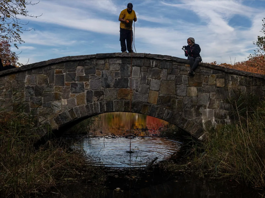 Странное хобби