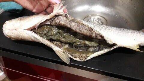 Купила на днях рыбку.