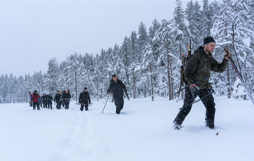 Научившись спать, как медведь, вы можете спасти себе жизнь
