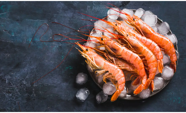 6 рекордных научных открытий 2023 года