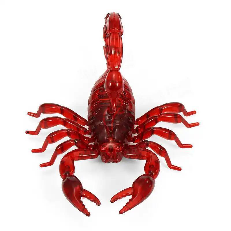 Самый опасный в мире - индийский красный скорпион