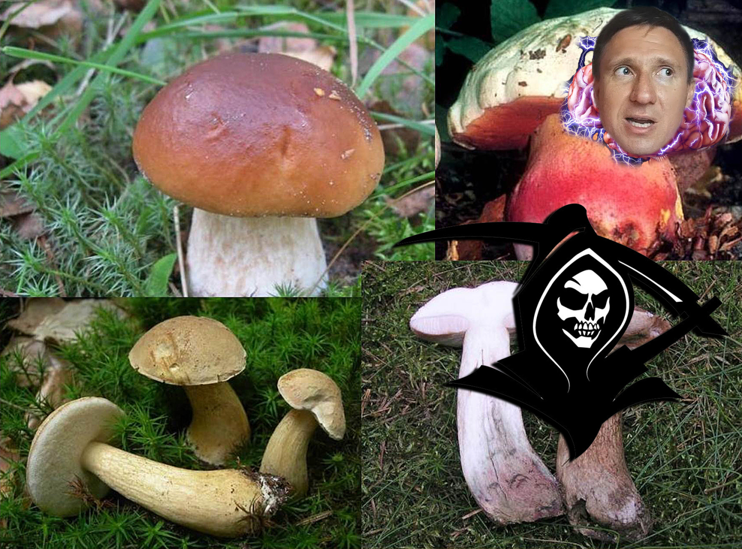 "Фаза", "выход из тела", "осознанный сон" и "астрал" - чем отличаются друг от друга эти состояния?