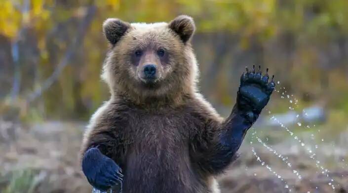 Две истории ( жизненная и мудрая )