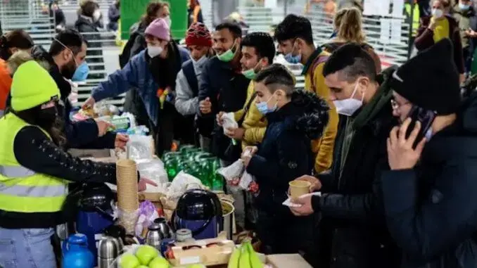 Правительство Германии: «Нелегальные мигранты имеют полное право на массовый грабеж продуктовых магазинов»