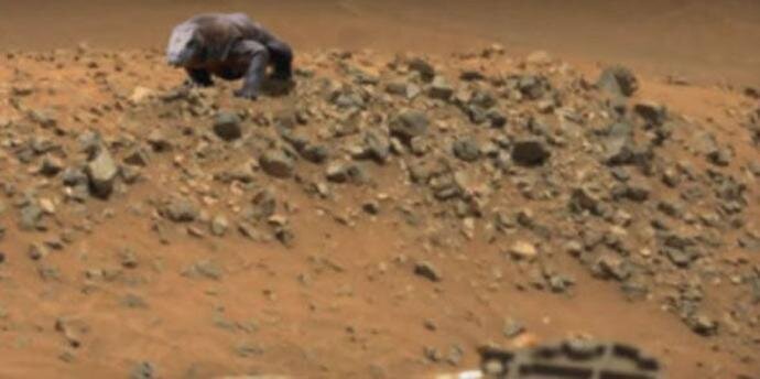 Забудьте о воде на Марсе! Найден окаменелый динозавр!