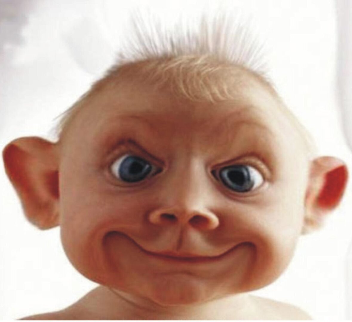 С каким выражением лица нужно встречать наступающий 2024 Новый год?