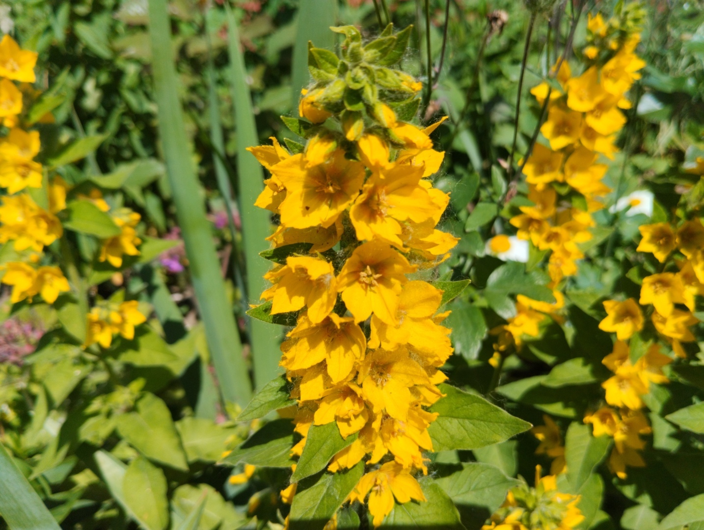 Почему мы не замечаем природу, которая нас окружает