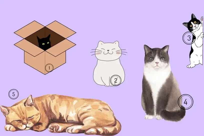 Новогодние кошачьи забавы. Выберите кошку и узнайте, что вас ждет в новом 2024 году