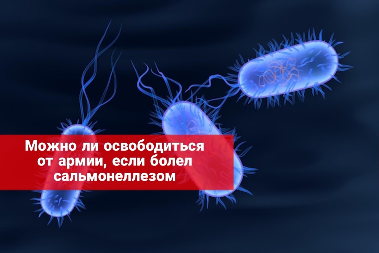 Можно ли освободиться от армии, если болел сальмонеллезом