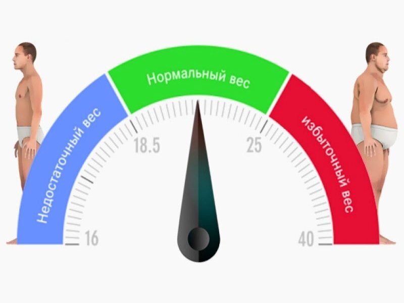 Золотое равновесие: риски недостатка веса и секреты успешного набора массы тела.