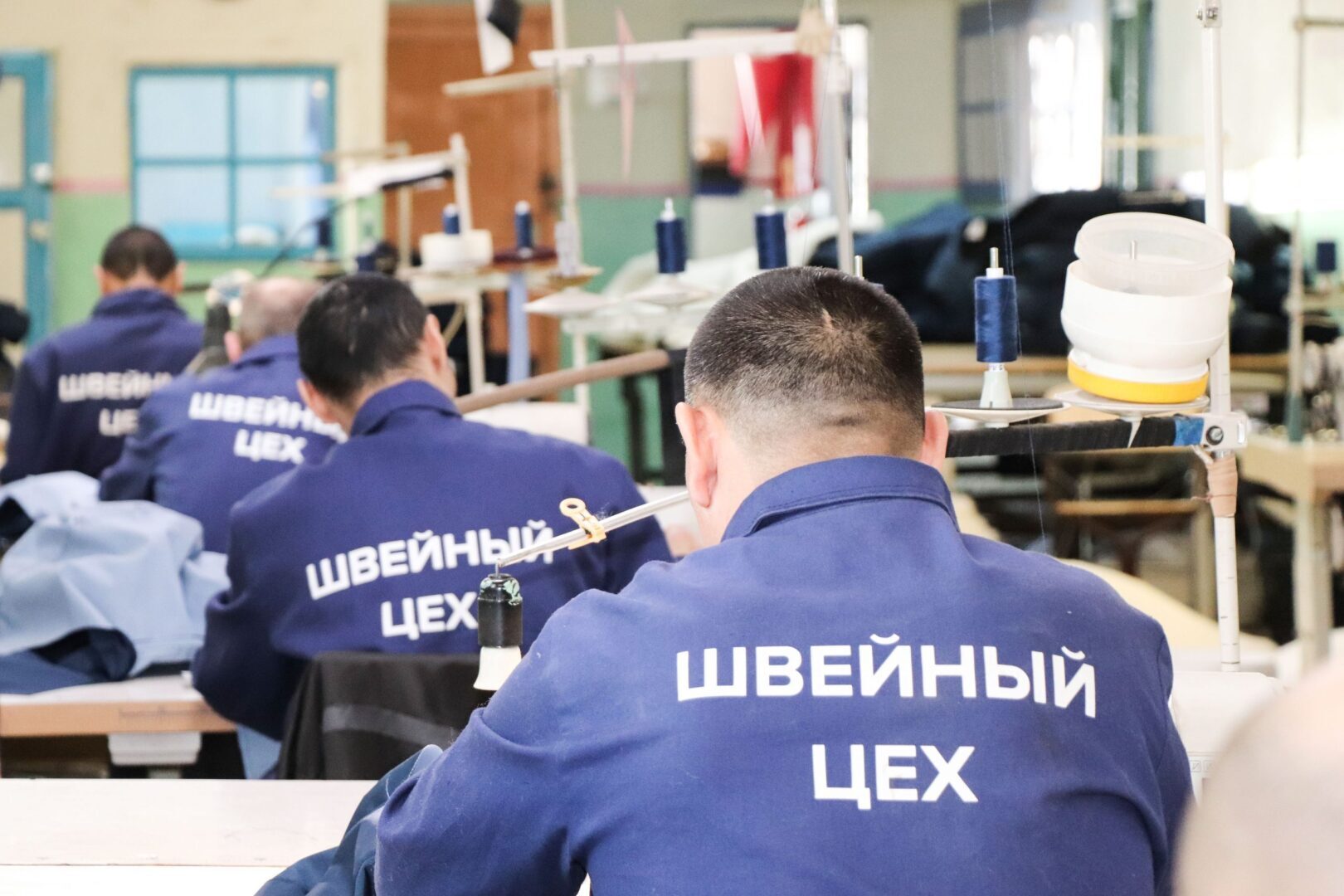 Пропавший Навальный нашелся в поселке Харп, в ИК-З "Полярный волк"