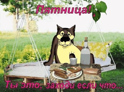 Послание самовлюбленному быку!