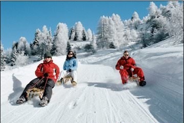 История возникновения санок