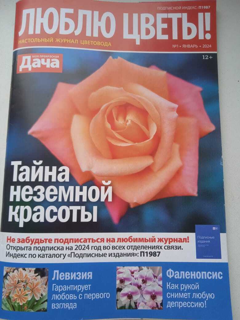 Гонорар не заставил себя ждать: первый опыт публикации оказался успешным, вознаграждение получено и уже потрачено на оплату посылки с семенами.