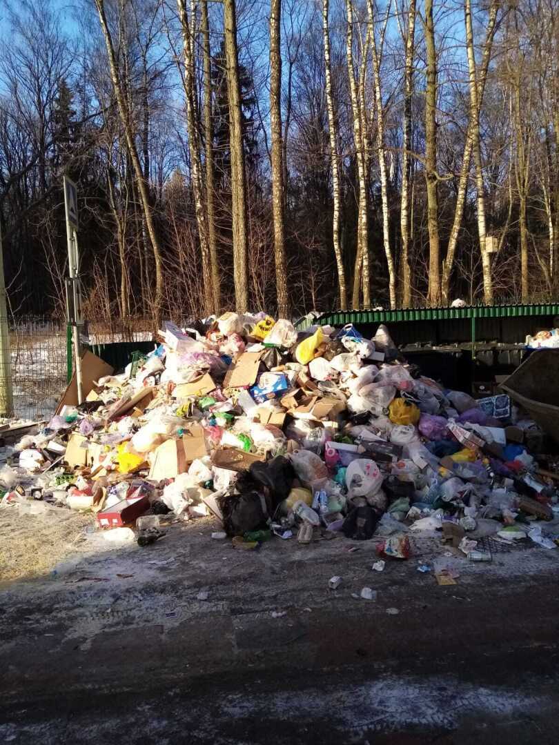 О мусорной куче, грязных подъездах, нечищеных улицах и не только