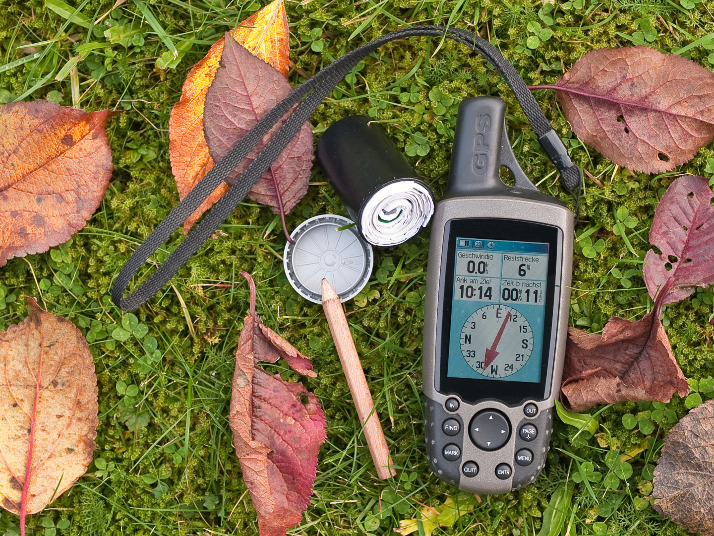 👩‍⚕️ Случай с геокейшершей. А кто это? И при чем здесь полиция?