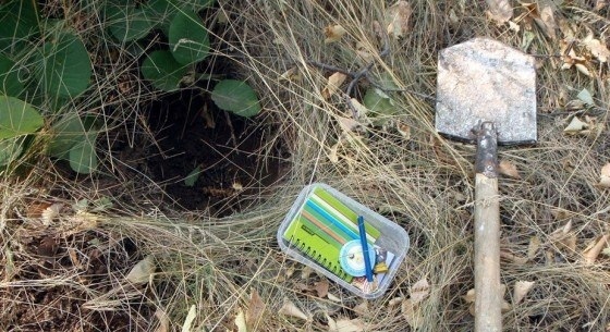 👩‍⚕️ Случай с геокейшершей. А кто это? И при чем здесь полиция?