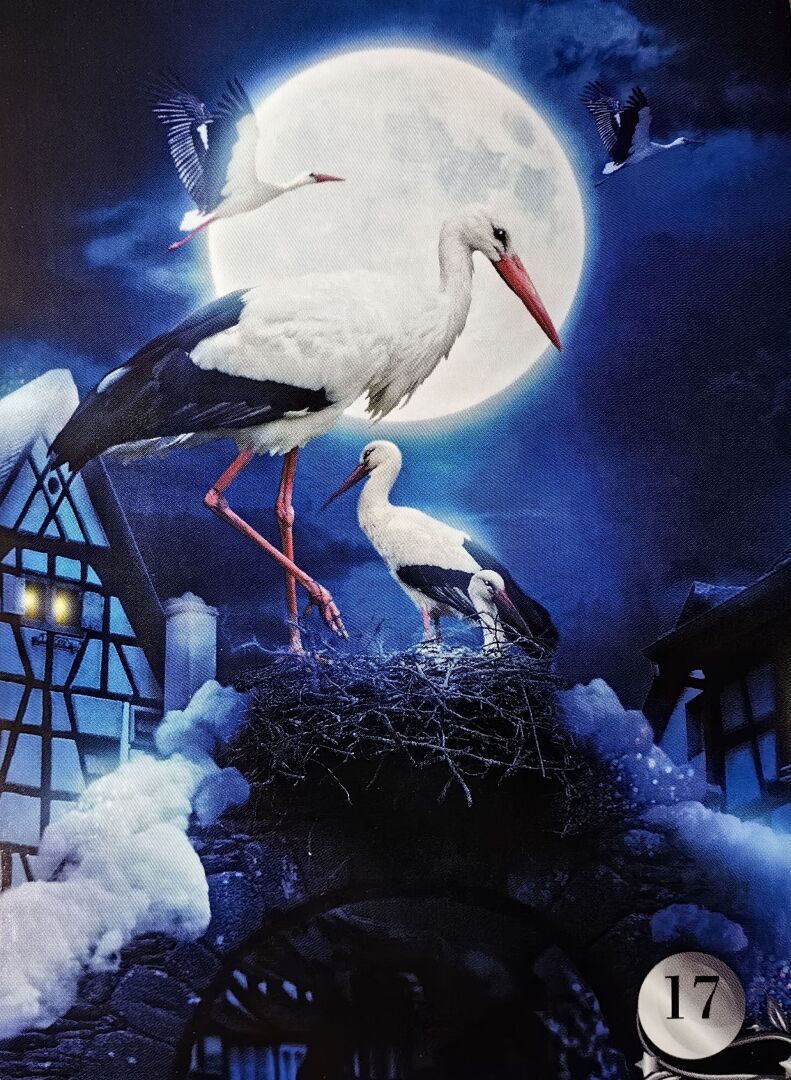 Аффирмация дня на сегодня для тебя...