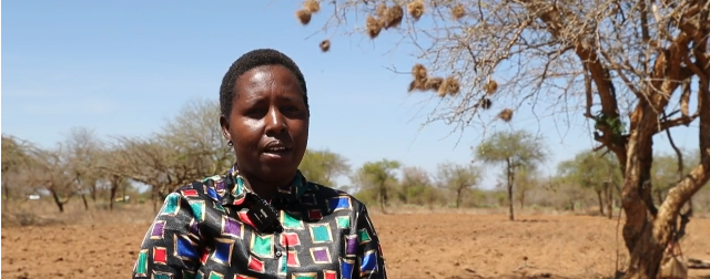 Африка сталкивается с беспрецедентной экстремальной погодой, несмотря на глобальные климатические действия