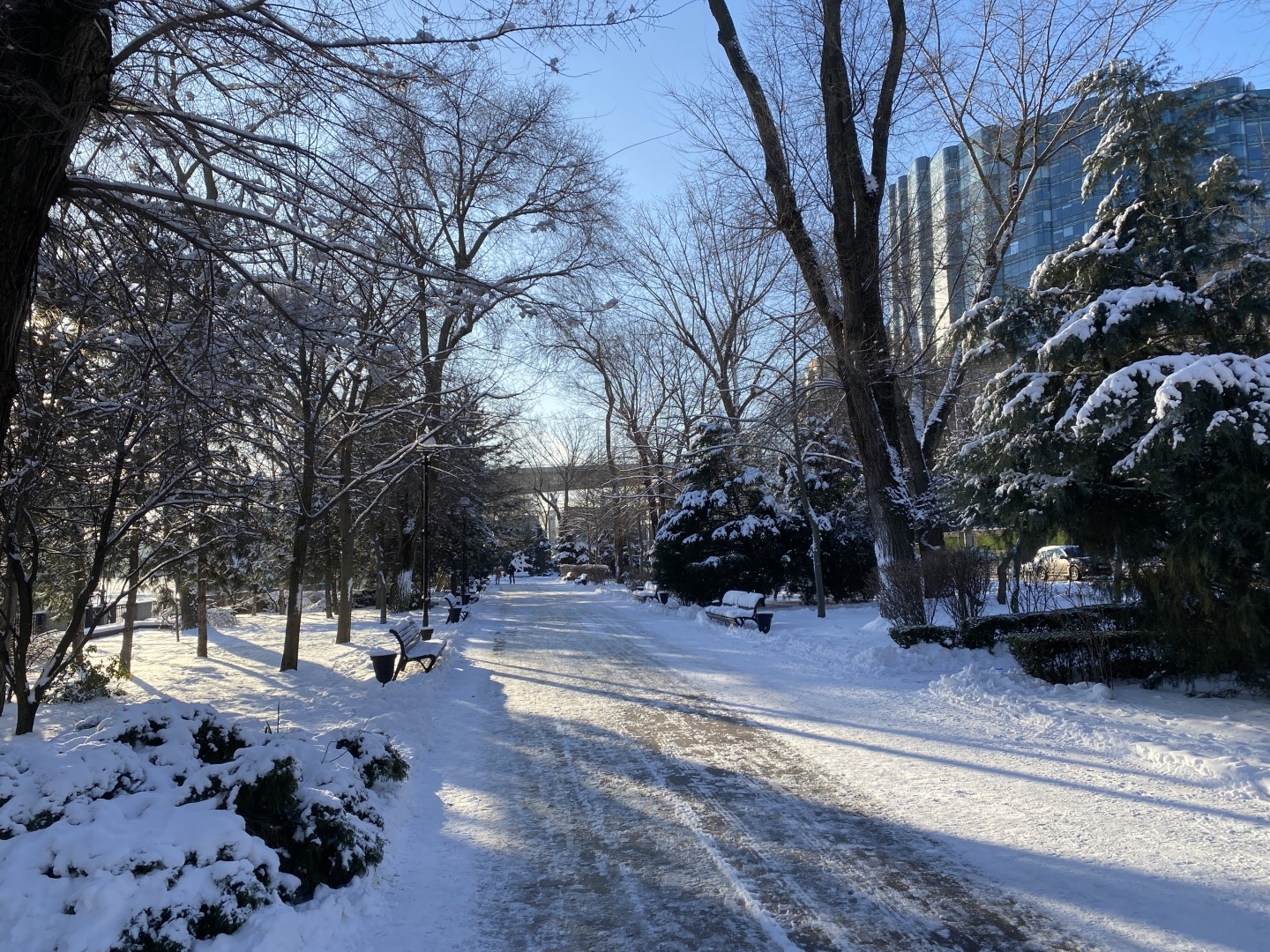 В Ростов пришла настоящая Зима