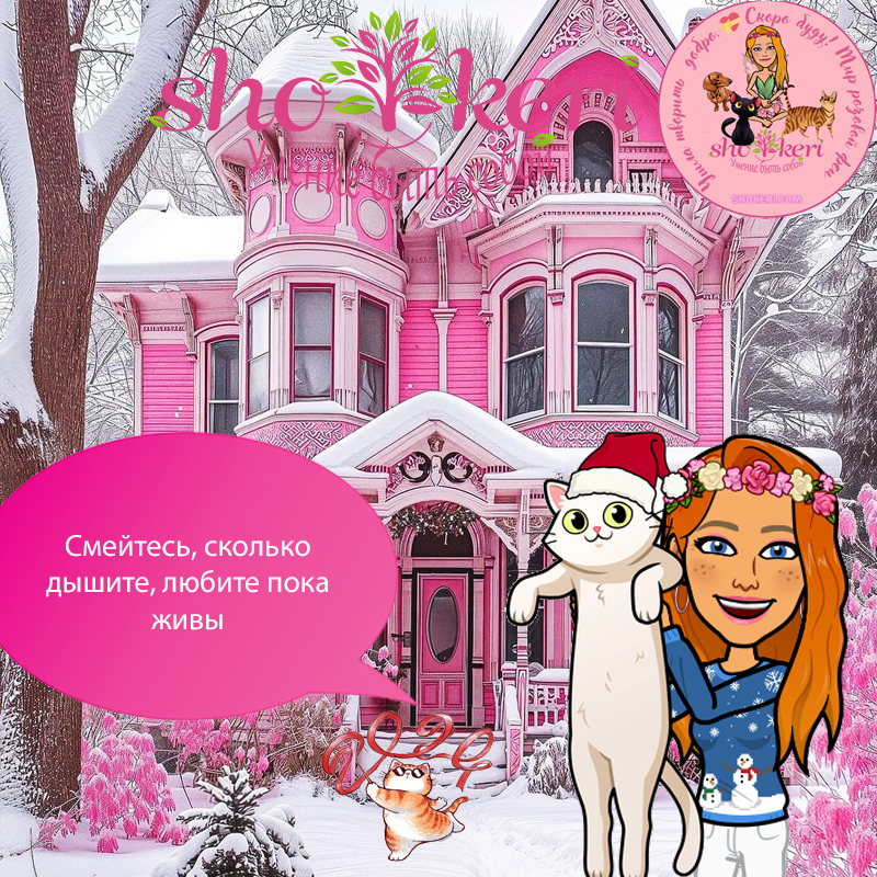 Как поиск красоты вокруг себя поднимает настроение🍀