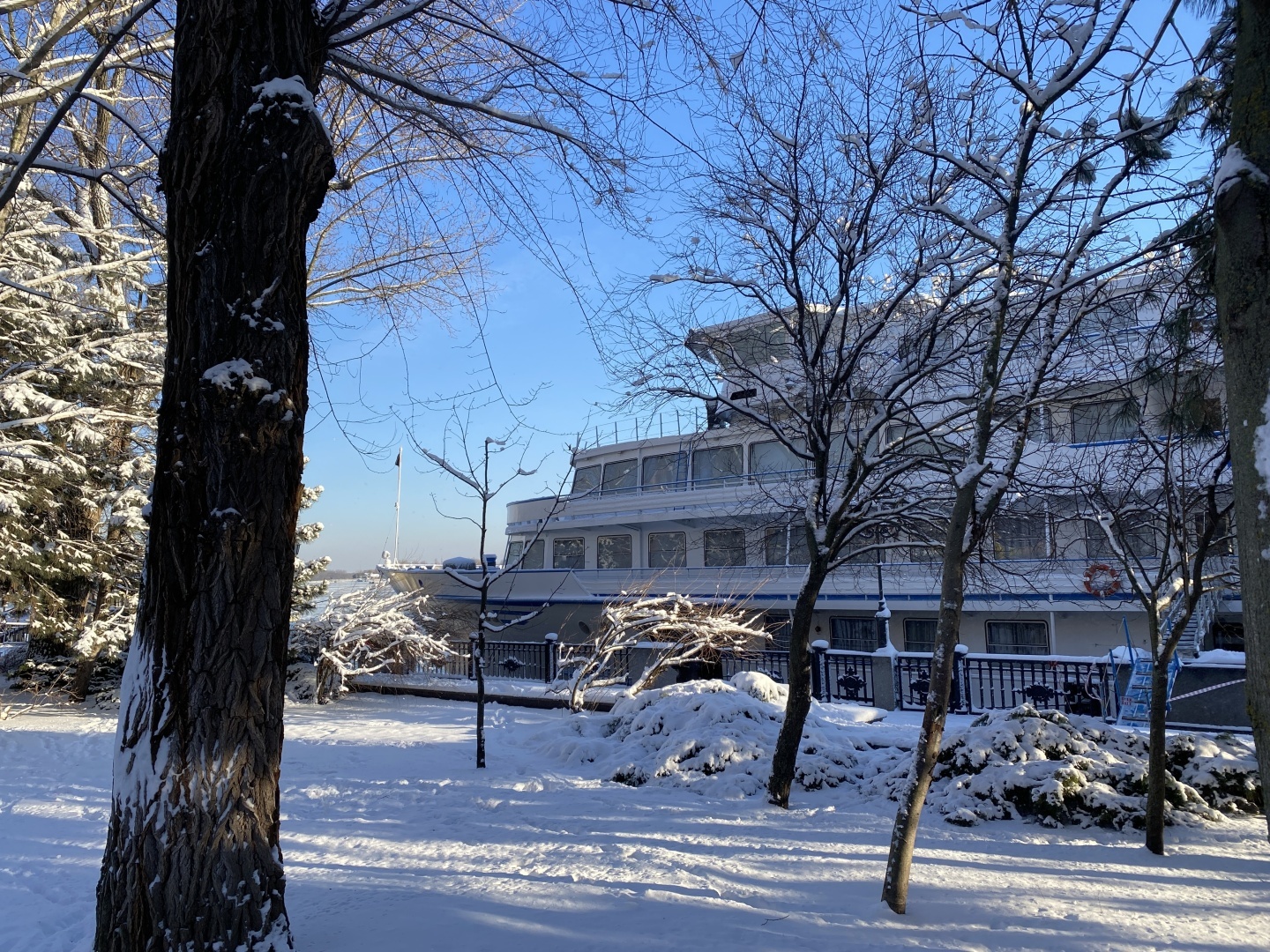 В Ростов пришла настоящая Зима