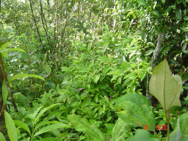 Электричество – не игрушки. Часть 1. Мы с женой решили начать процесс подготовки к строительству своего дома