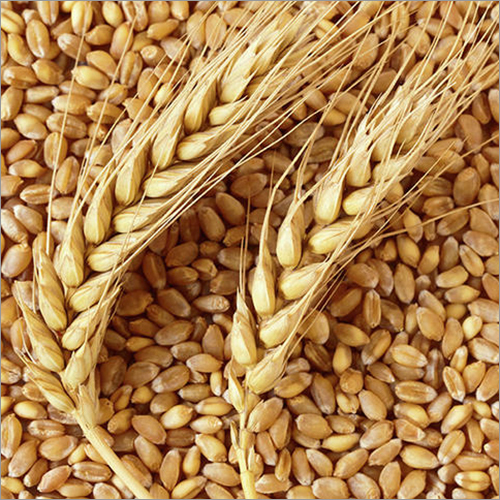 Американцы готовы заморить голодом миллионы человек.