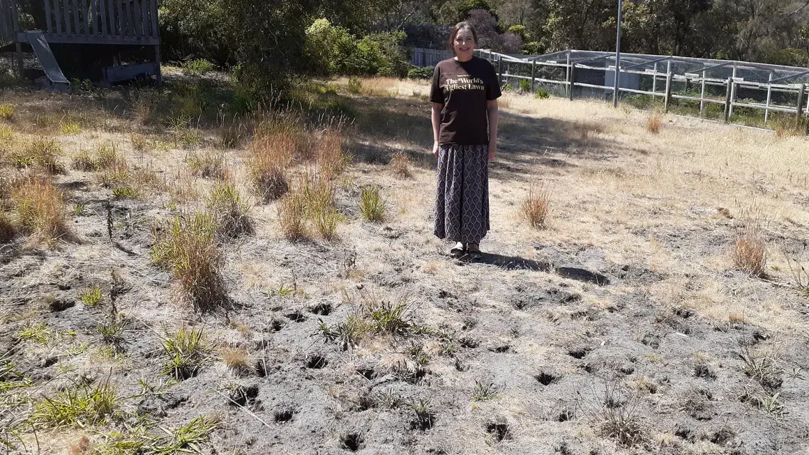 Этот газон был назван самым уродливым в мире - но все это ради благой цели