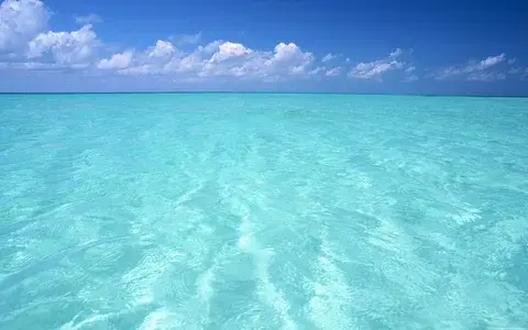 Психология цвета: как разные оттенки влияют на наше настроение и восприятие мира