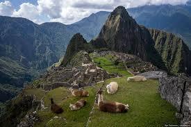 Знаменитые руины Инков - Мачу Пикчу