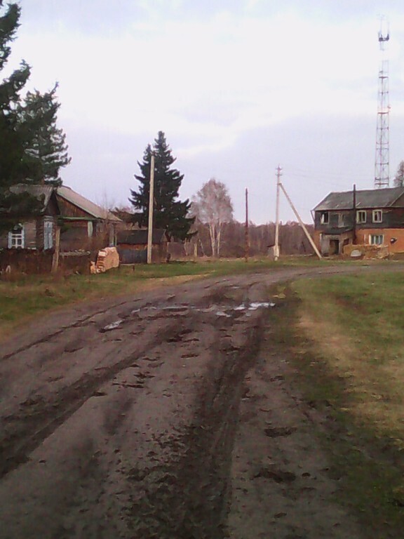 Хотите, верьте, хотите – нет, , но по дорогам геологического посёлка свиньи гуляли