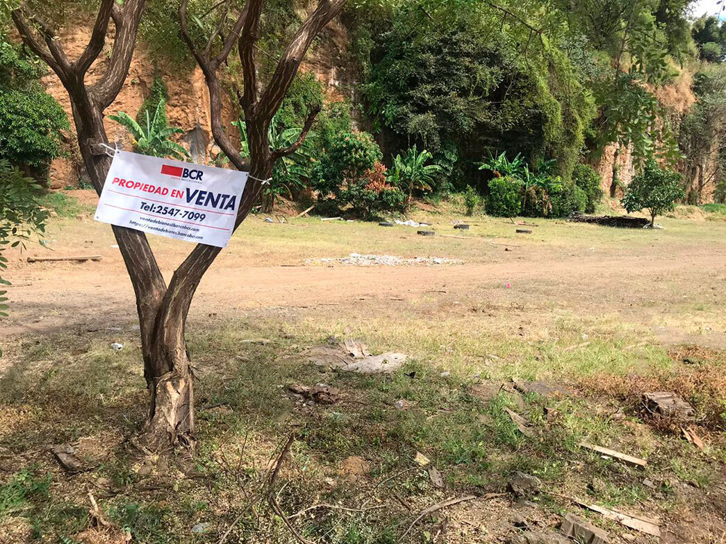 Покупаю недвижимость в тропическом раю. Часть 3. Покупка земельного участка за рубежом: выгодная инвестиция или потеря денег, времени и покоя?