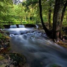 Смирнова Тамара Борисовна, г. Курган