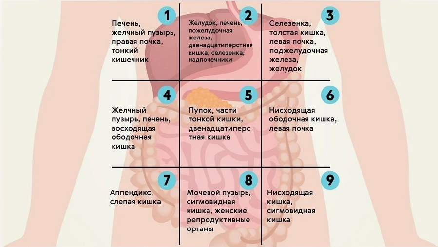 Боль в области левого подреберья. Возможные причины. Первая помощь при боли в левом боку